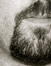 Was macht den Henriquatre Bart aus?